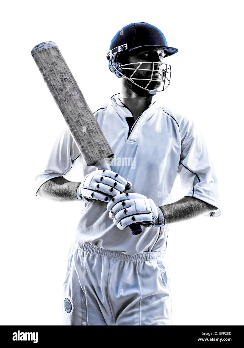 cricket id